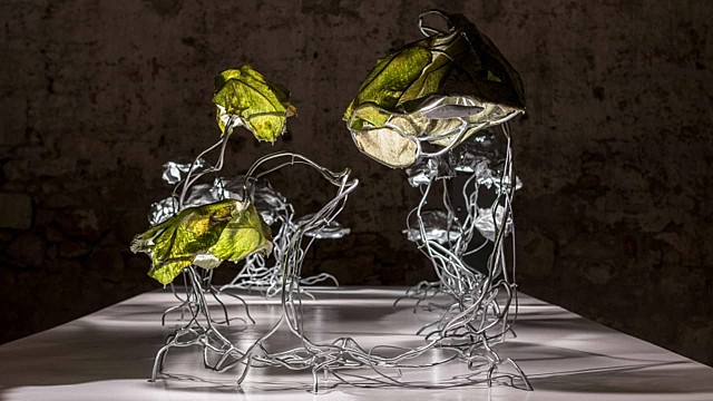 Marcin Rusak Encoded Symbols: Protoplasting Nature