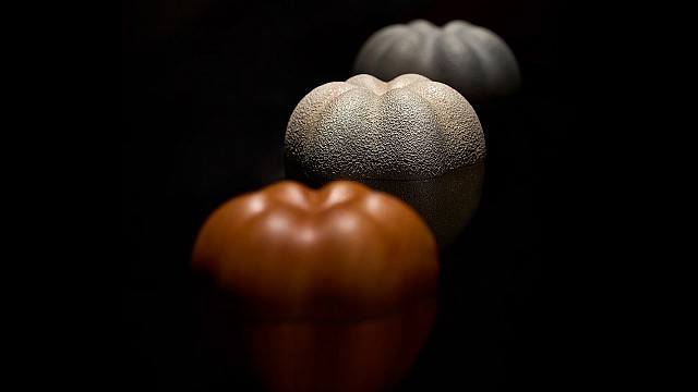 Innovation in Form: Lacquerware by Jihei Murase III