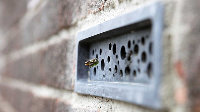 Green & Blue studio design home for bees within brick walls