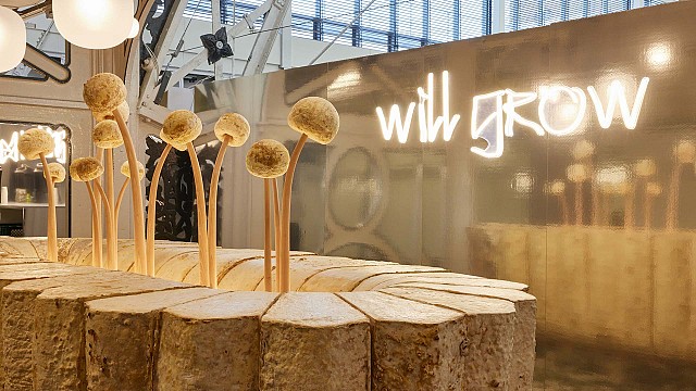 WeWantMore creates an experimental bar with mycelium that grows in time