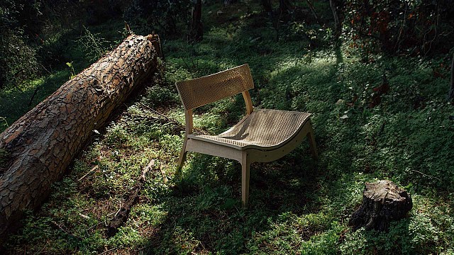 D.DLAB ideated the WoodenWood project, based on the circular lifecycle of wood