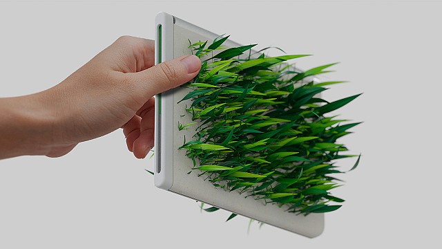 &lsquo;Square Greens&rsquo; by SEVE makes growing food in kitchens sustainable and effortless
