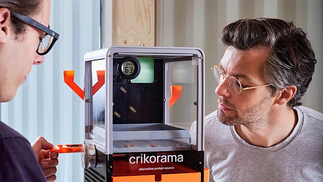 Crikorama: Kyran Knauf&rsquo;s cricket machine that reimagines protein consumption