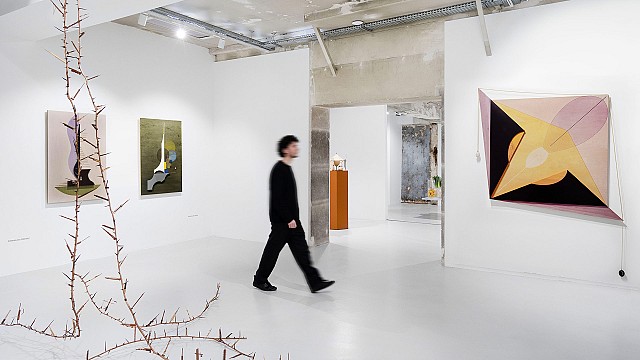 Carlos Garaicoa highlights tensions between culture and nature with 'La Secci&oacute;n &aacute;urea'