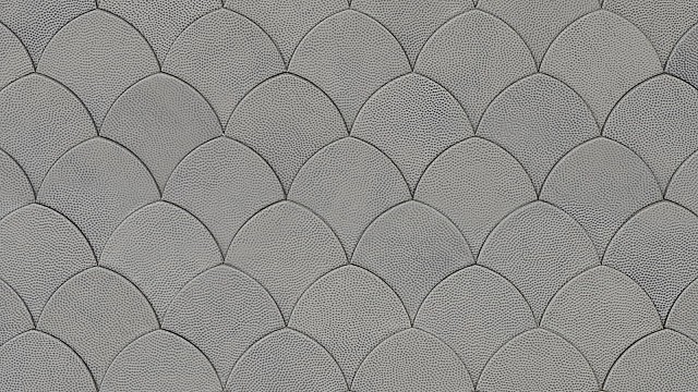 Fishscale Surface