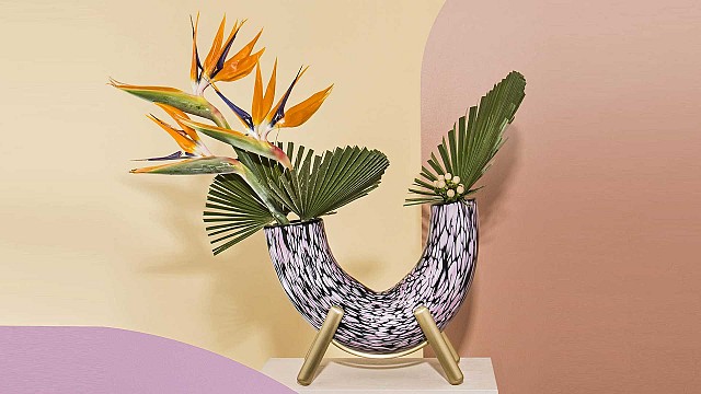 Fauna