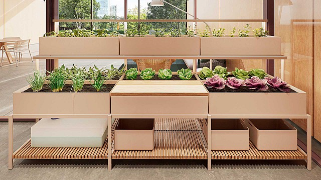 Hydroponic Garden