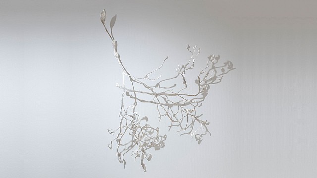 Alder 1