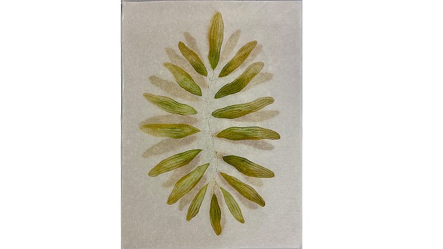 Plant Sway (Green), 2023