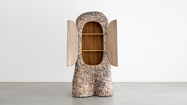 Armadillo Cabinet