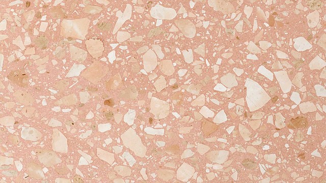 Pink Pampas
