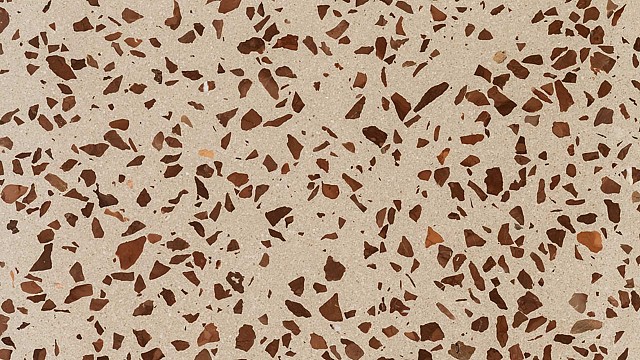 Lentil