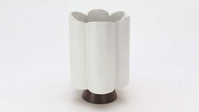 Scallop Vase Collection
