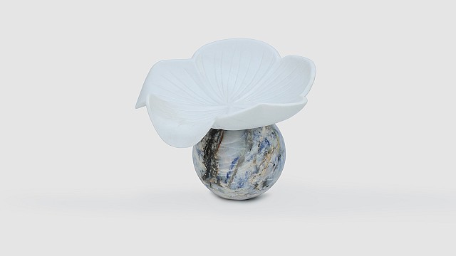 Shrooms