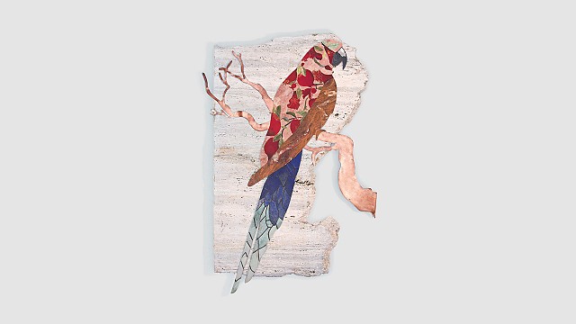 Macaw I