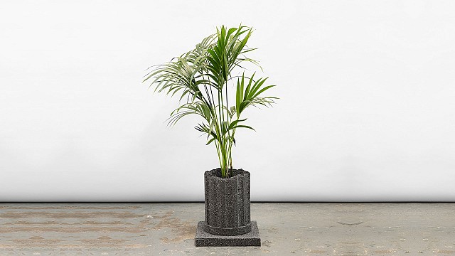 Planter in Black Granite, 2025