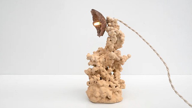 Goetite Lamp