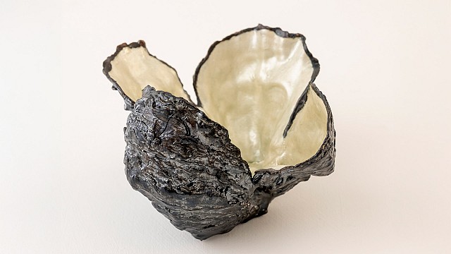 Ocean Bowl, Furled, 2025