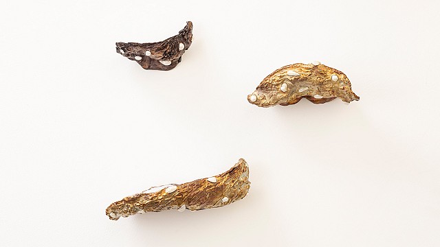 Oyster Shelves , 2025