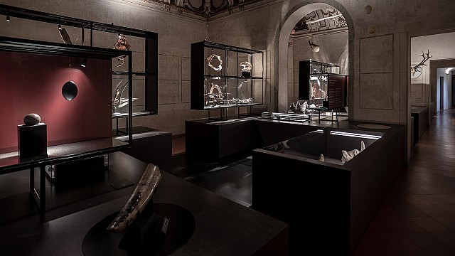 Metamorphosis Gallery, Wunderkammer