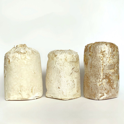 Mycelium Research
