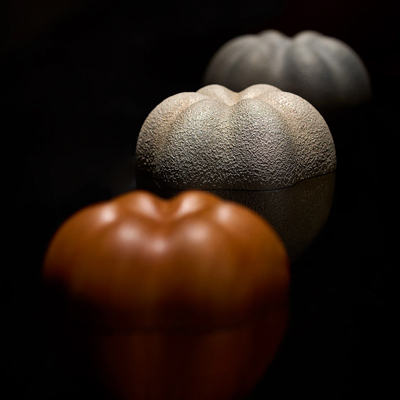 Innovation in Form: Lacquerware by Jihei Murase III