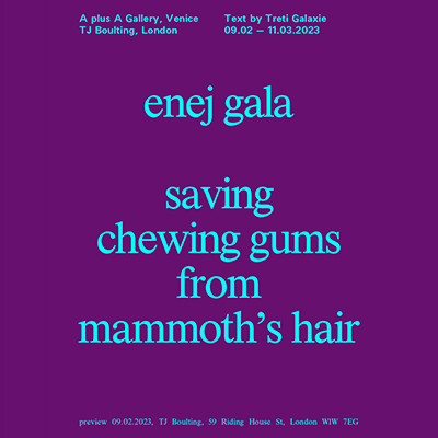 Enej Gala Saving chewing gums from mammoth&rsquo;s hair