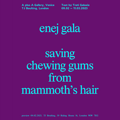 Enej Gala Saving chewing gums from mammoth&rsquo;s hair