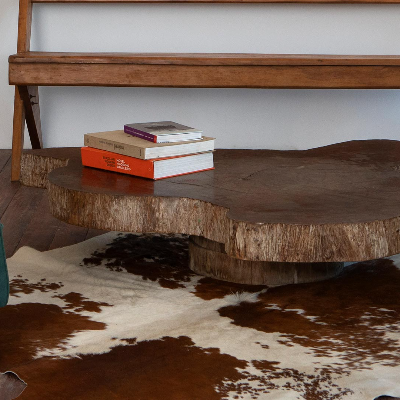 Trunk Coffee Table