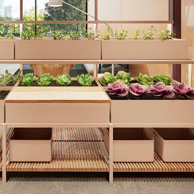 Hydroponic Garden