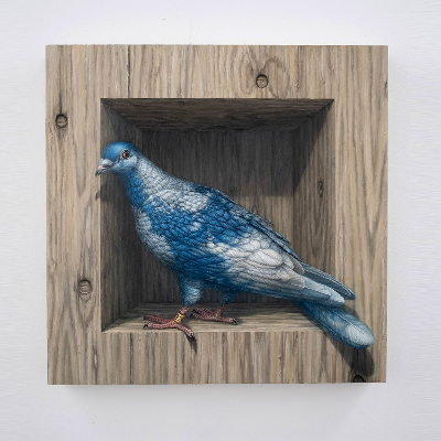 Richter Dove