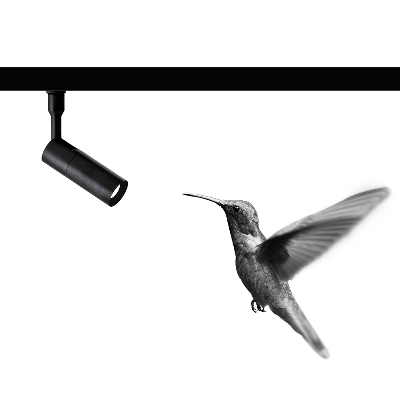 Colibr&igrave;