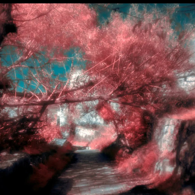 Untitled 7 From For Them 2 Series, 2024