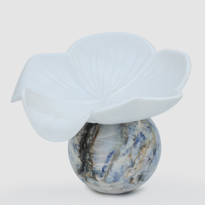 Shrooms