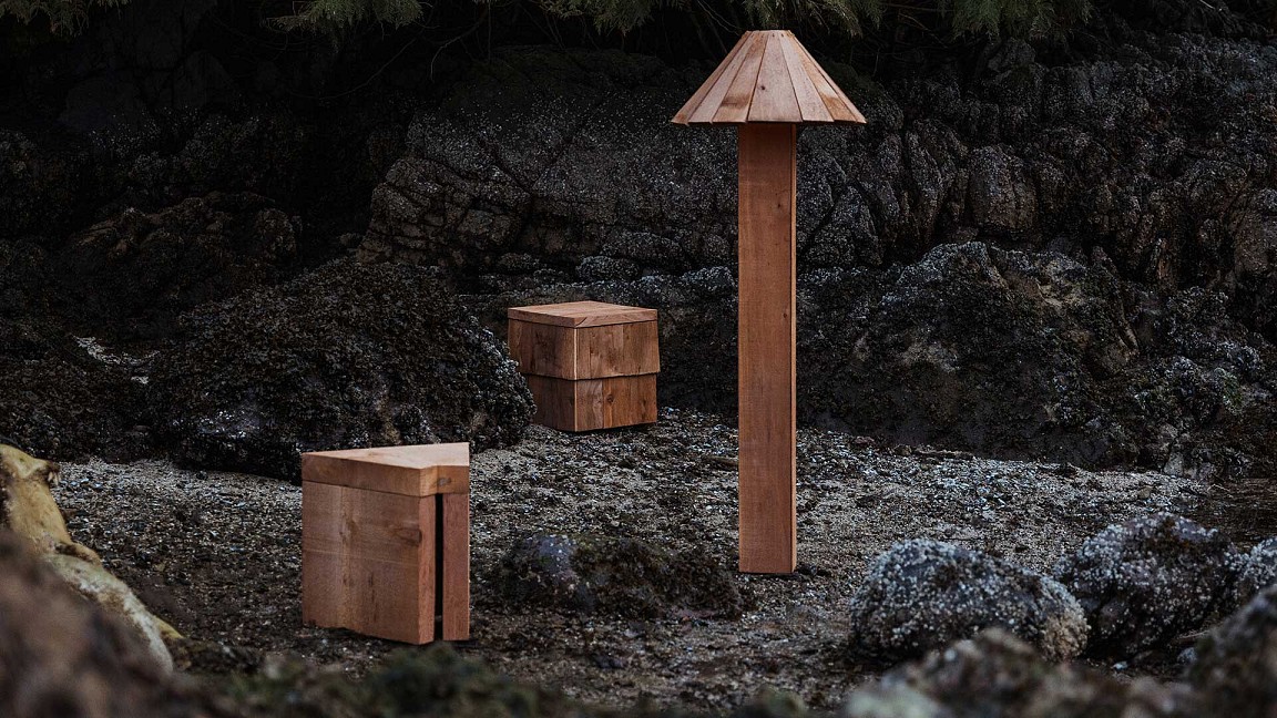 Ancient stewardship and biobased adhesive bind Salvage and Sap by Earth to People