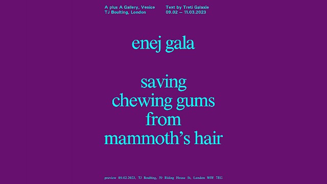 Enej Gala Saving chewing gums from mammoth&rsquo;s hair
