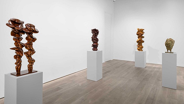 Lisson Gallery presents Tony Cragg&rsquo;s first solo showcase in their Shanghai gallery