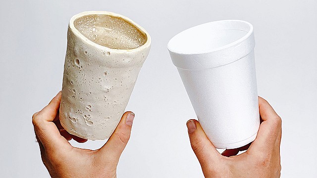 Doppelg&auml;nger formulates a bioplastic from Styrofoam-eating mealworms