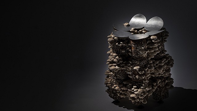 Satoshi Itasaka stacks mushrooms to build organic stools