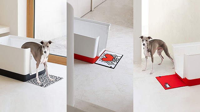 Alain Courchesne explores product design for pets blending playfulness and practicality
