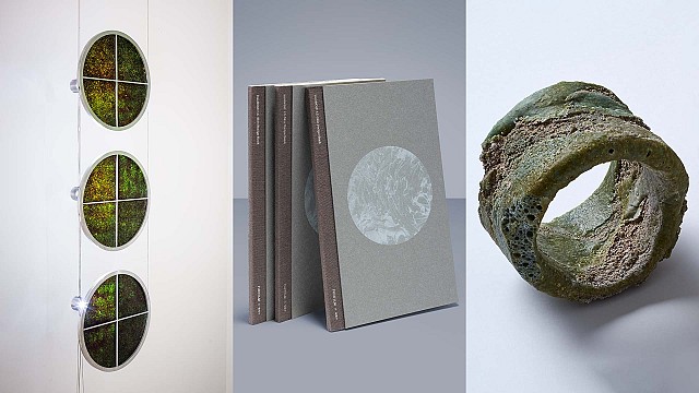 From seaweed light to recipes, We+ reconstructs design perspectives
