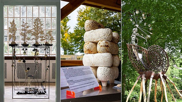 BioArt Laboratories synergises science, art, and nature to shape a sustainable future