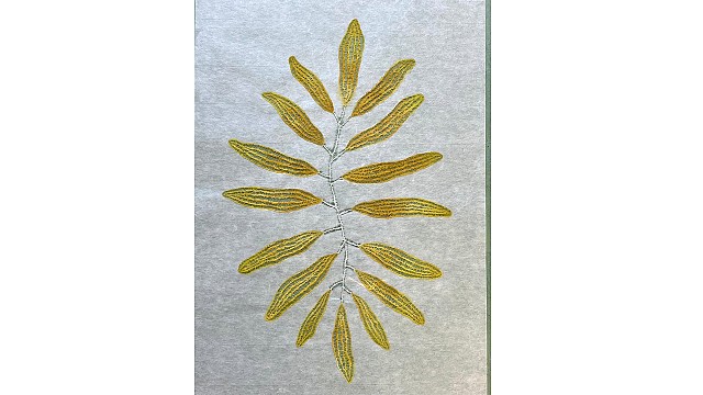 Plant Sway (Yellow), 2023