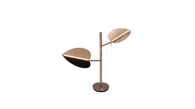 Aracea  Table Lamp