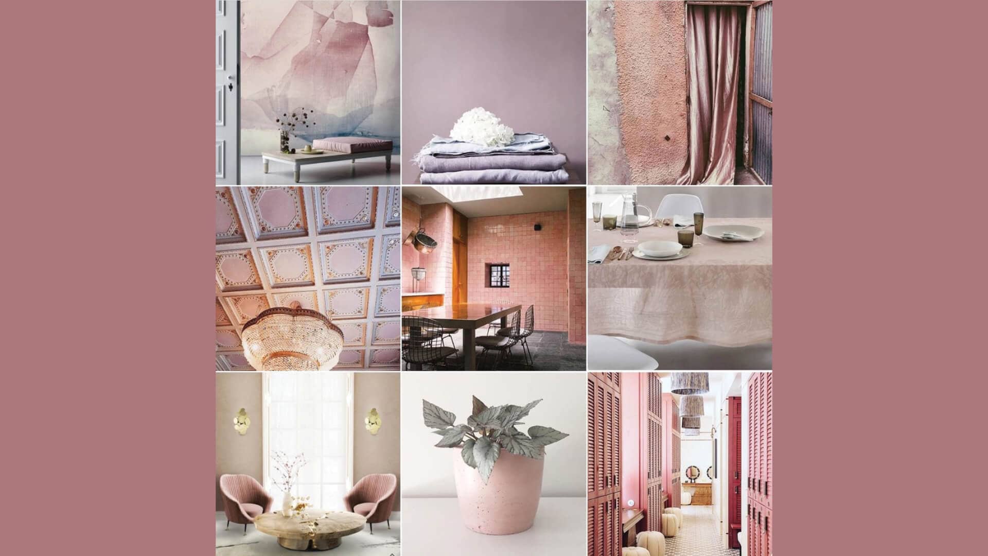 Colour Chronicles: The power of pink