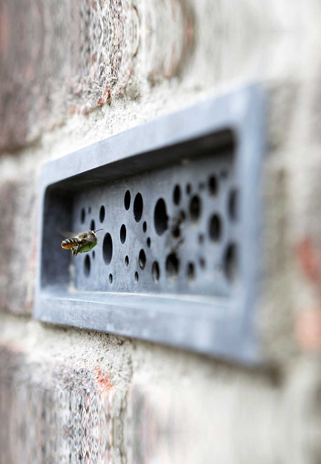 Green & Blue studio design home for bees within brick walls