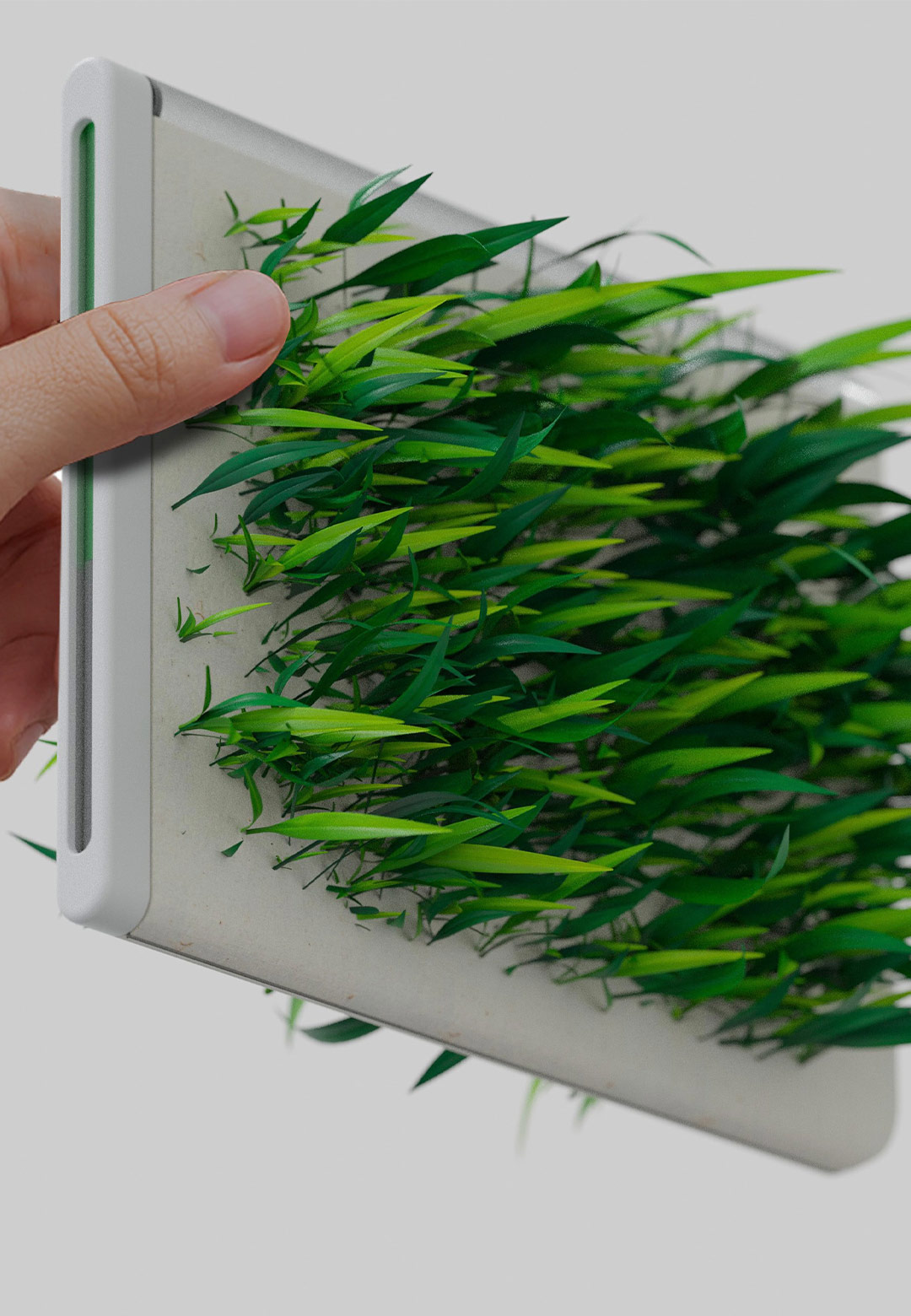 ‘Square Greens’ by SEVE makes growing food in kitchens sustainable and effortless