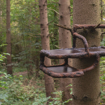 Basse Stittgen&rsquo;s &lsquo;Tree-ism&rsquo; crafts a reverent dialogue between nature and design