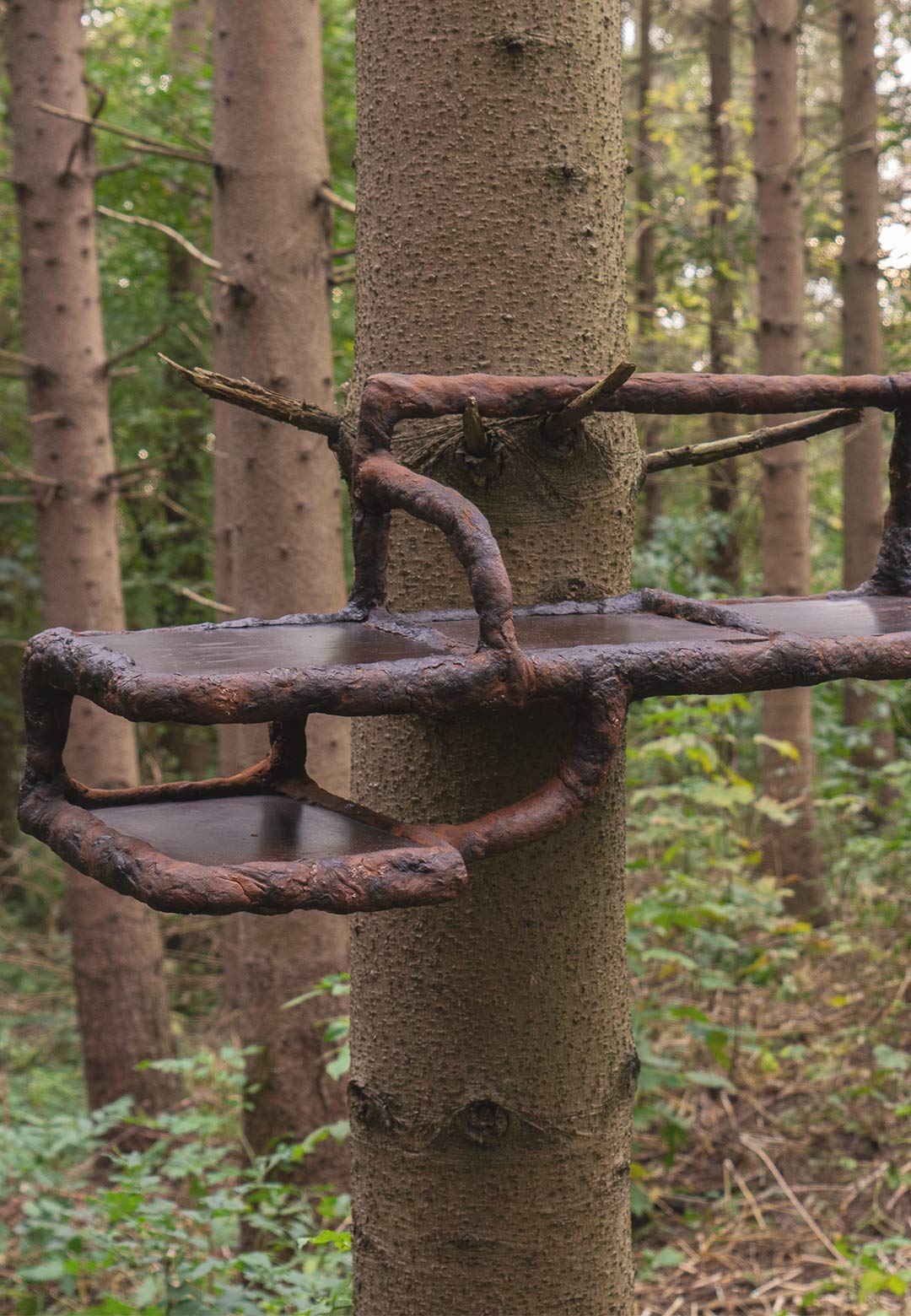 Basse Stittgen’s ‘Tree-ism’ crafts a reverent dialogue between nature and design