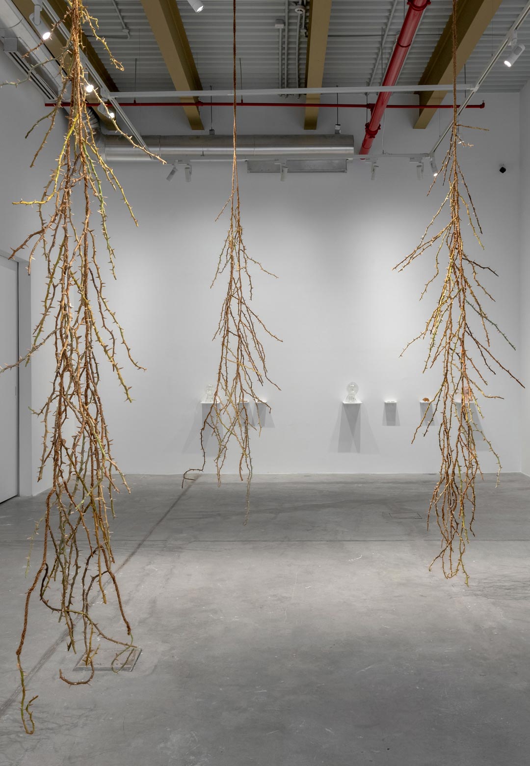 Nika Neelova stages a tryst of geology and art at the NIKA Project Space with ‘Beghost’